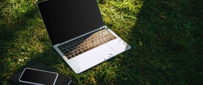 Laptop iPhone Macbook Lawn Grass Laptop and iPhone on green lawn